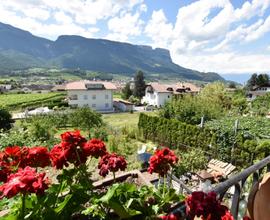 Appiano: Casa indipendente con giardino