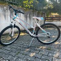 Bicicletta Torpado Mtb T596 earth 26