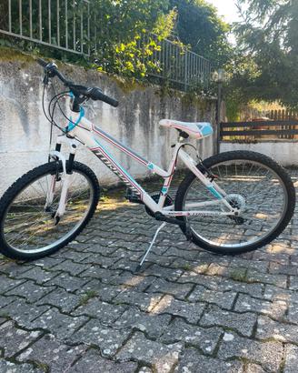 Bicicletta Torpado Mtb T596 earth 26