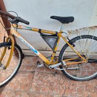 Bicicletta da Revisionare