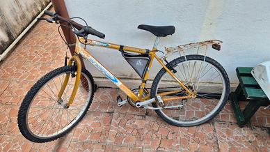 Bicicletta da Revisionare