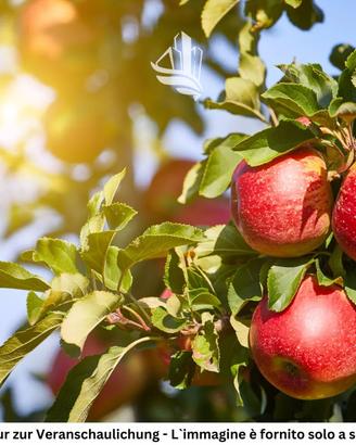 Trento: Frutteto con progetto approvato