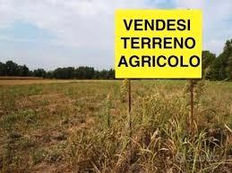 Terreno agricolo di 8.730 mq