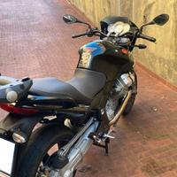 Motoguzzi 1200 Sport