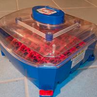 Incubatrice Borotto Lumia 16