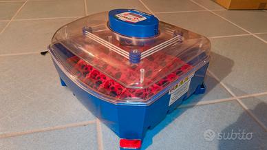 Incubatrice Borotto Lumia 16