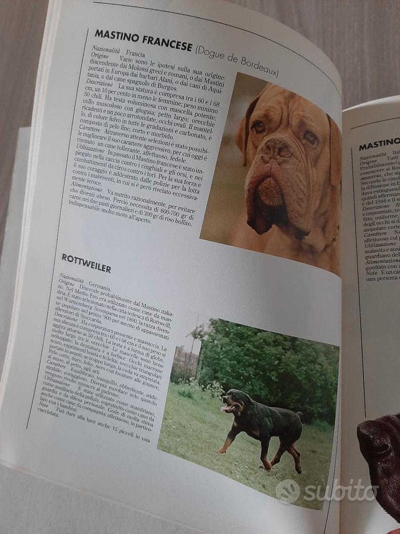 cani temperamento delle razze - Libri e Riviste In vendita a Torino