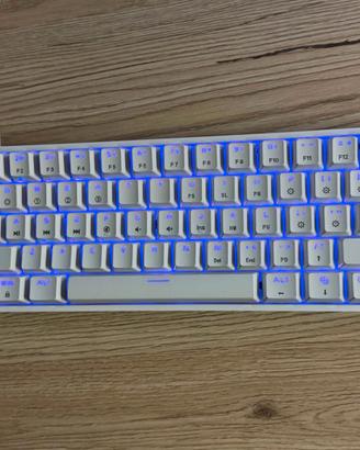 EPOMAKER SKYLOONG SK61 / GK61 Tastiera Meccanica