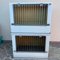 cassetta trasporto cani macchina 