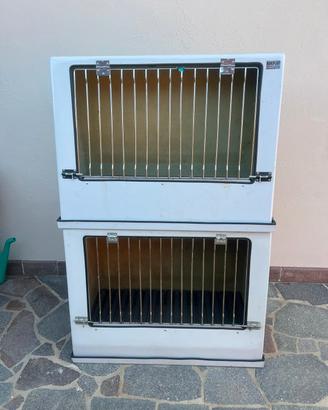 cassetta trasporto cani macchina 