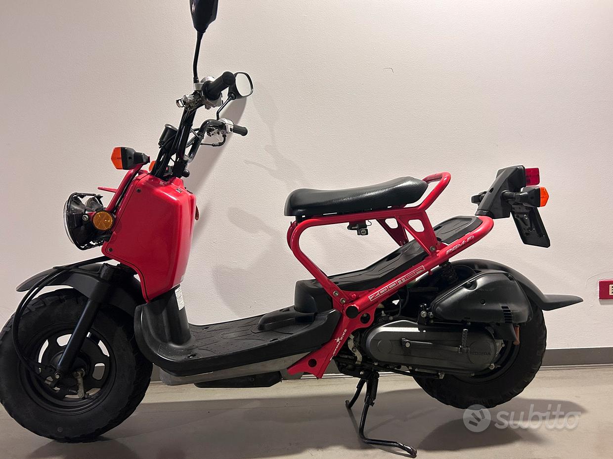 Moto Honda Zoomer 125 Usato Honda Zoomer Usata In Vendita