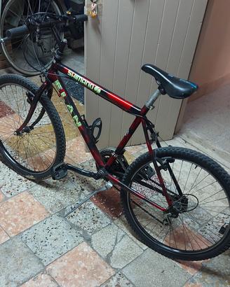 mountain bike