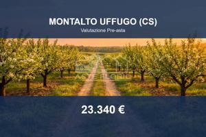 Immobile in asta di 16835 m² a Montalto Uffugo