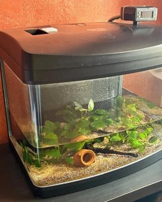 Acquario 40L completo di accessori