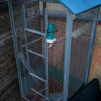 Voliere per pappagalli