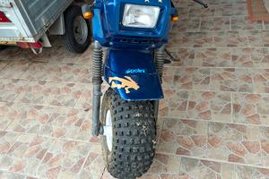 koala fantic motor 