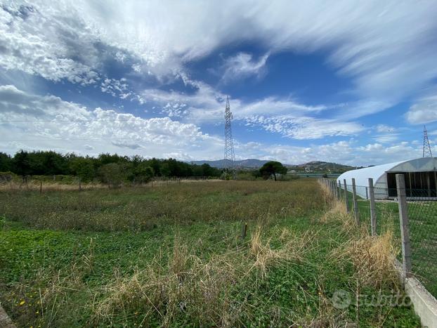 Terreno agricolo ampia metratura