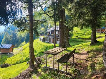 BAITA DI MONTAGNA. solo affitti brevi