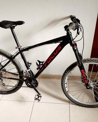 MTB focus  freni disco cerchi mavic