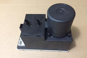 Centralina chiusure Audi 8L0862257E