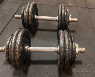 Coppia manubri regolabili Domyos – fino a 14kg cad