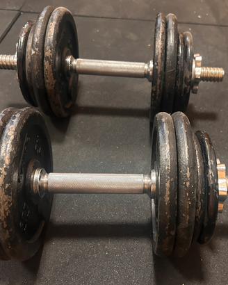 Coppia manubri regolabili Domyos – fino a 14kg cad