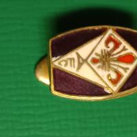 distintivo fiorentina calcio