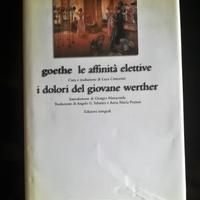 Goethe, Le affinità elettive