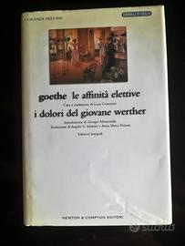 Goethe, Le affinità elettive