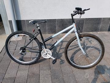 Mountain bike