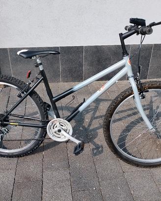 Mountain bike
