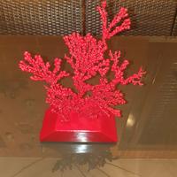 Corallo da arredamento