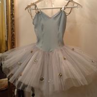 Tutù grigio perla decorato con paillettes