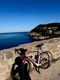 Bici da strada/corsa Viper
