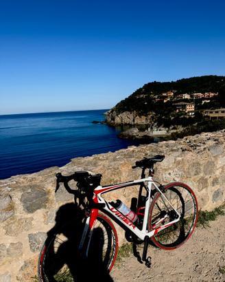 Bici da strada/corsa Viper