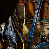 Canna trota tubertini