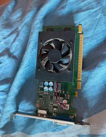 GTX 730 2GB