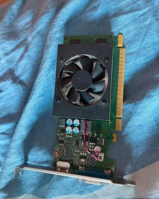 GTX 730 2GB
