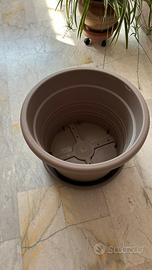 Vaso grigio con sottovaso