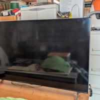 televisione LG QNED 55 pollici 