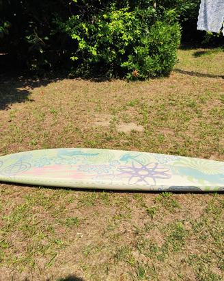 Windsurf Bic Presto 120 l + Vela 5.5 mq