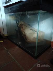 acquario 60 x 30 h40
