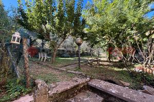 Terreno Agricolo Sgurgola [Cod. rif 3266439VCG]