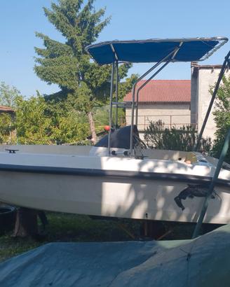 Evinrude e scafo 510 Molinari e carrello stradale