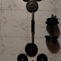 Coppia di Manubri con 8Kg di pesi ciascuno