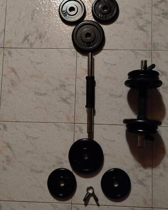 Coppia di Manubri con 8Kg di pesi ciascuno
