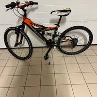 Bici Vicini , Shock Absorber