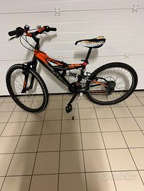 Bici Vicini , Shock Absorber