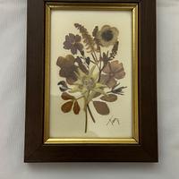 Quadro vintage Stella Alpina fiori secchi