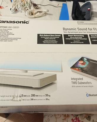 Panasonic SC-HTE80 -Home Theater Audio System